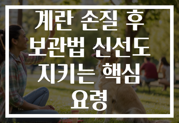 계란 손질 후 보관법 신선도 지키는 핵심 요령