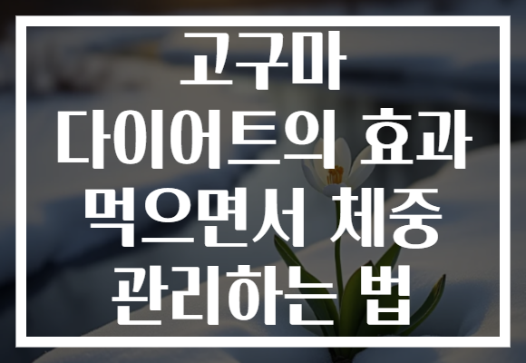 고구마 다이어트의 효과 먹으면서 체중 관리하는 법