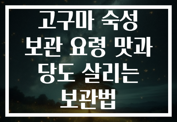 고구마 숙성 보관 요령 맛과 당도 살리는 보관법