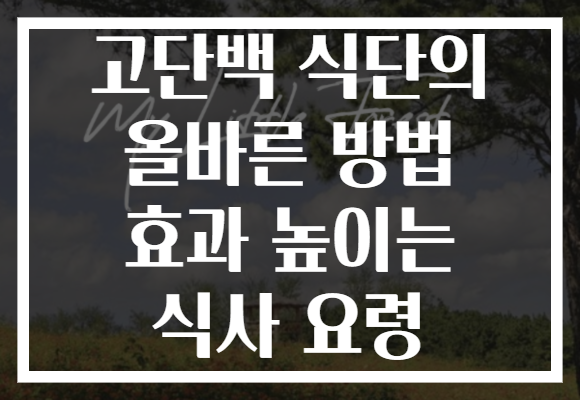 고단백 식단의 올바른 방법 효과 높이는 식사 요령