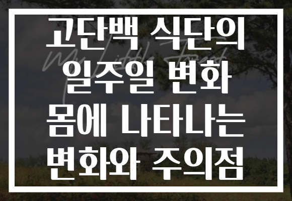 고단백 식단의 일주일 변화 몸에 나타나는 변화와 주의점