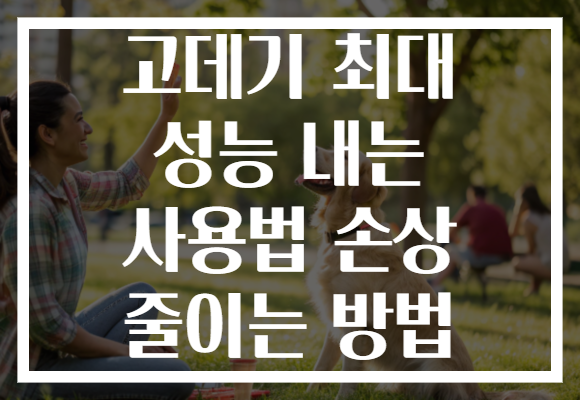 고데기 최대 성능 내는 사용법 손상 줄이는 방법