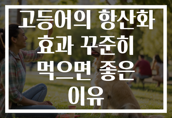 고등어의 항산화 효과 꾸준히 먹으면 좋은 이유