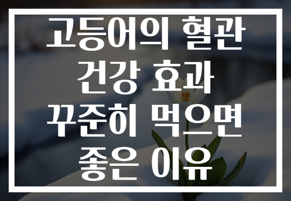 고등어의 혈관 건강 효과 꾸준히 먹으면 좋은 이유