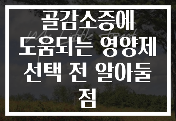 골감소증에 도움되는 영양제 선택 전 알아둘 점