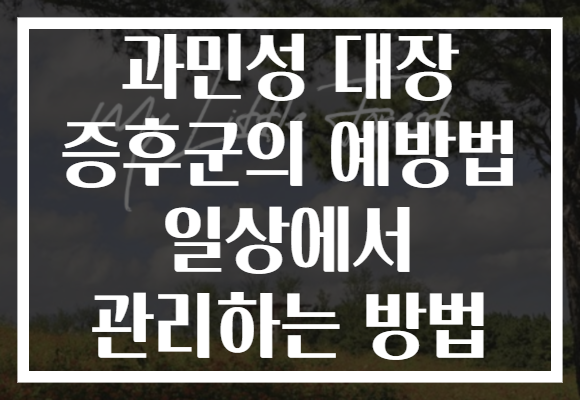 과민성 대장 증후군의 예방법 일상에서 관리하는 방법