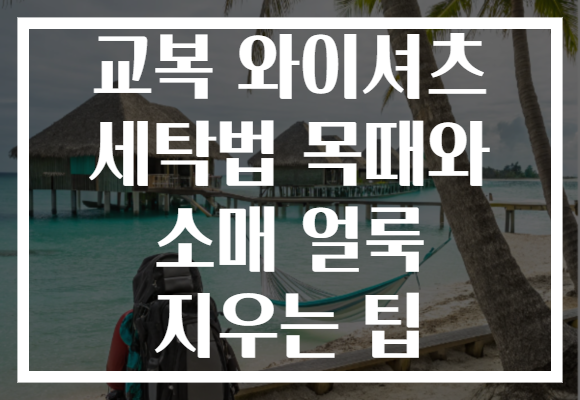 교복 와이셔츠 세탁법 목때와 소매 얼룩 지우는 팁