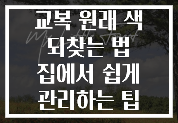 교복 원래 색 되찾는 법 집에서 쉽게 관리하는 팁