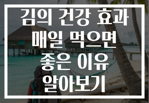 김의 건강 효과 매일 먹으면 좋은 이유 알아보기