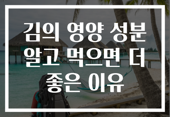 김의 영양 성분 알고 먹으면 더 좋은 이유