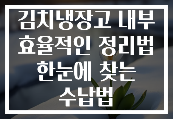 김치냉장고 내부 효율적인 정리법 한눈에 찾는 수납법