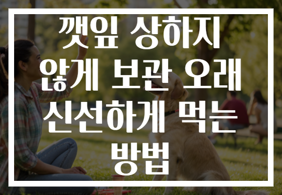 깻잎 상하지 않게 보관 오래 신선하게 먹는 방법