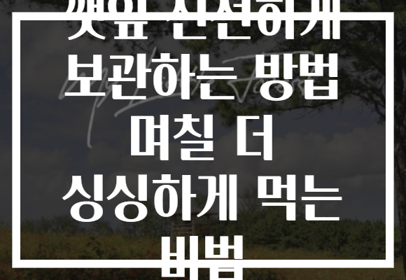깻잎 신선하게 보관하는 방법 며칠 더 싱싱하게 먹는 비법