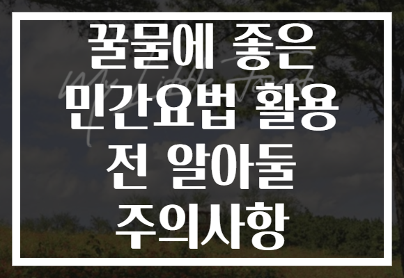꿀물에 좋은 민간요법 활용 전 알아둘 주의사항