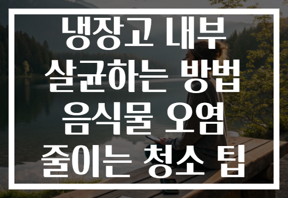 냉장고 내부 살균하는 방법 음식물 오염 줄이는 청소 팁