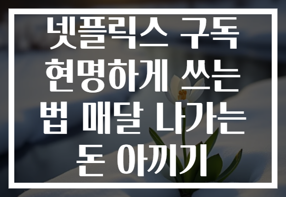 넷플릭스 구독 현명하게 쓰는 법 매달 나가는 돈 아끼기