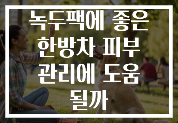 녹두팩에 좋은 한방차 피부 관리에 도움 될까