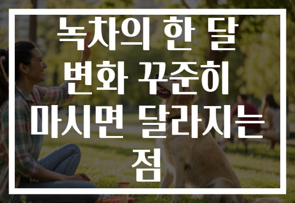녹차의 한 달 변화 꾸준히 마시면 달라지는 점