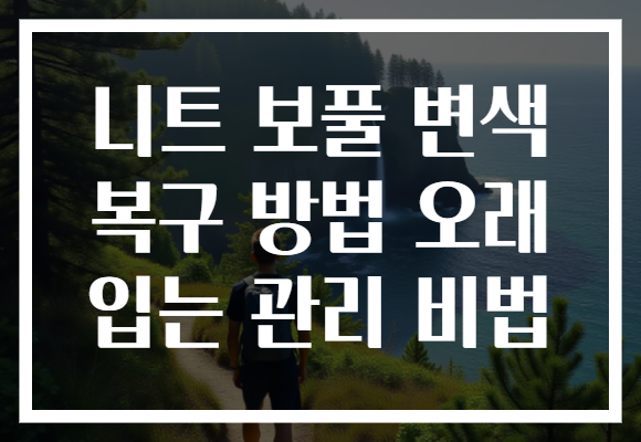 니트 보풀 변색 복구 방법 오래 입는 관리 비법