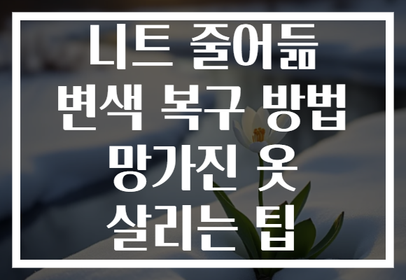 니트 줄어듦 변색 복구 방법 망가진 옷 살리는 팁