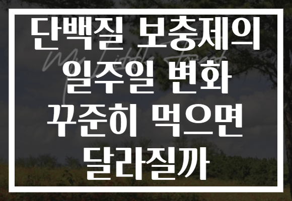단백질 보충제의 일주일 변화 꾸준히 먹으면 달라질까