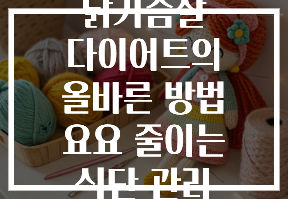 닭가슴살 다이어트의 올바른 방법 요요 줄이는 식단 관리