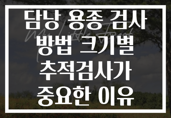 담낭 용종 검사 방법 크기별 추적검사가 중요한 이유