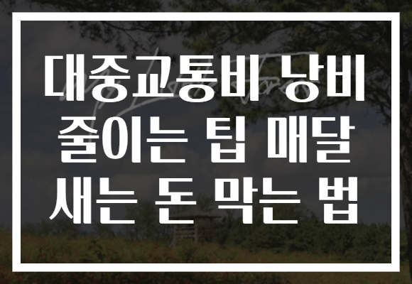 대중교통비 낭비 줄이는 팁 매달 새는 돈 막는 법