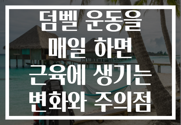덤벨 운동을 매일 하면 근육에 생기는 변화와 주의점