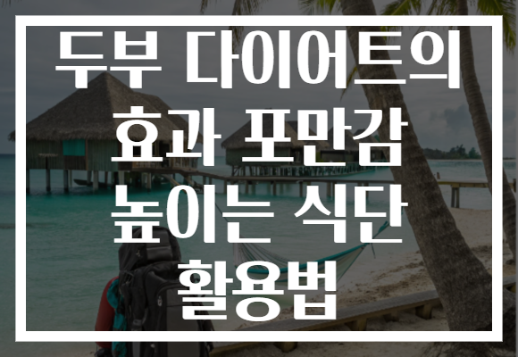 두부 다이어트의 효과 포만감 높이는 식단 활용법