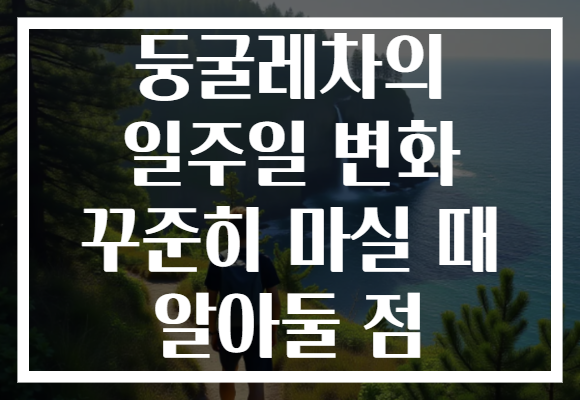 둥굴레차의 일주일 변화 꾸준히 마실 때 알아둘 점