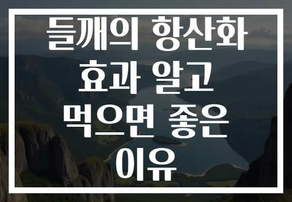 들깨의 항산화 효과 알고 먹으면 좋은 이유