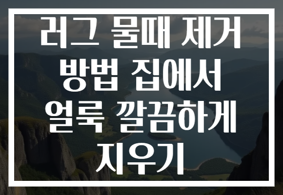 러그 물때 제거 방법 집에서 얼룩 깔끔하게 지우기