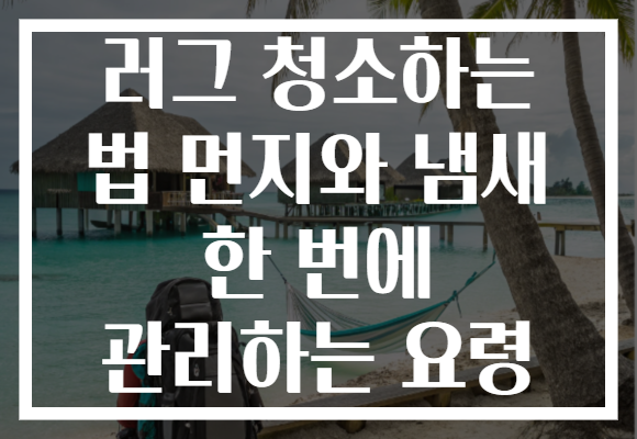 러그 청소하는 법 먼지와 냄새 한 번에 관리하는 요령