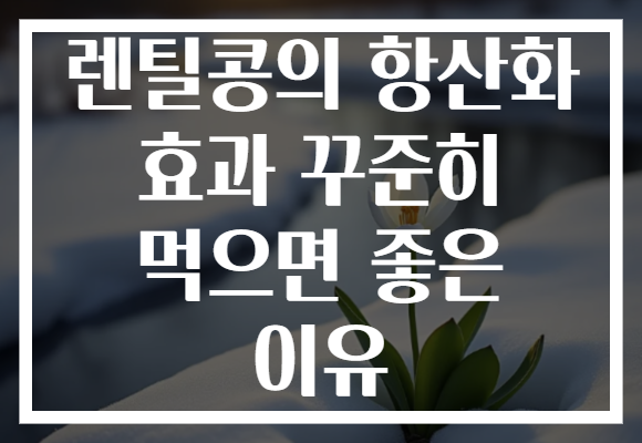 렌틸콩의 항산화 효과 꾸준히 먹으면 좋은 이유