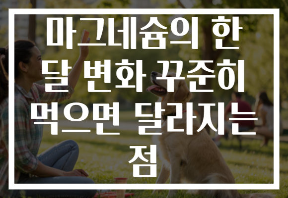 마그네슘의 한 달 변화 꾸준히 먹으면 달라지는 점