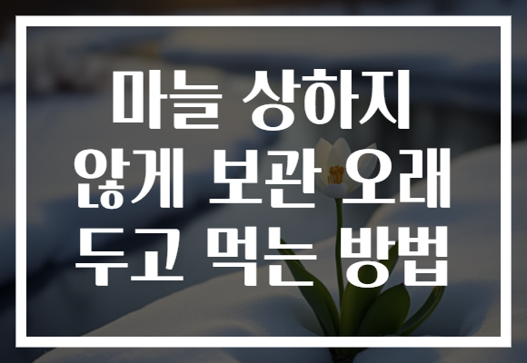 마늘 상하지 않게 보관 오래 두고 먹는 방법