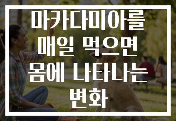 마카다미아를 매일 먹으면 몸에 나타나는 변화