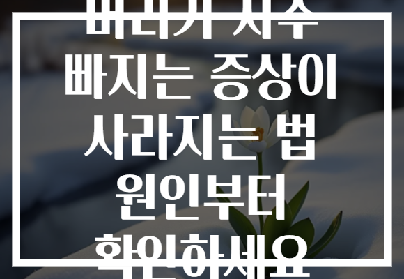 머리가 자주 빠지는 증상이 사라지는 법 원인부터 확인하세요