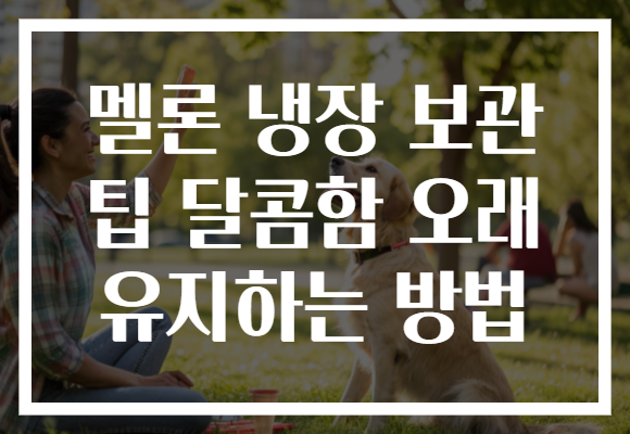 멜론 냉장 보관 팁 달콤함 오래 유지하는 방법