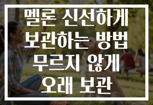 멜론 신선하게 보관하는 방법 무르지 않게 오래 보관