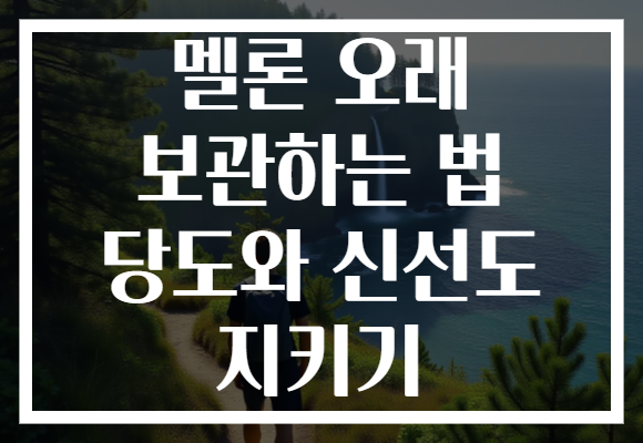 멜론 오래 보관하는 법 당도와 신선도 지키기
