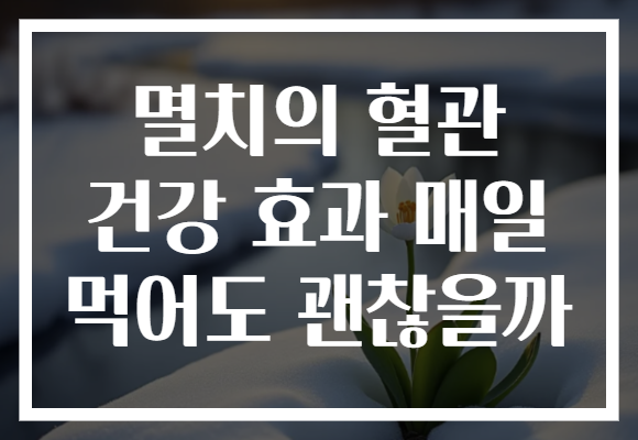 멸치의 혈관 건강 효과 매일 먹어도 괜찮을까