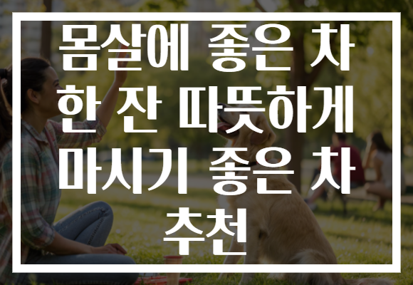 몸살에 좋은 차 한 잔 따뜻하게 마시기 좋은 차 추천