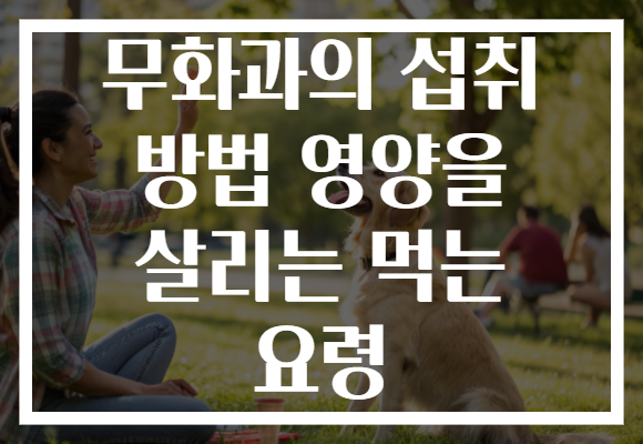무화과의 섭취 방법 영양을 살리는 먹는 요령