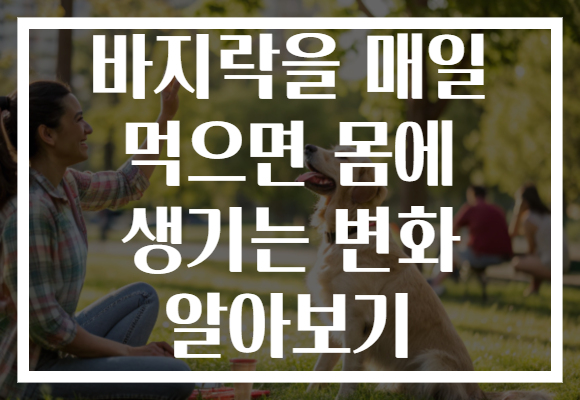 바지락을 매일 먹으면 몸에 생기는 변화 알아보기