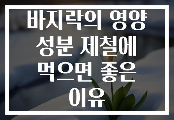 바지락의 영양 성분 제철에 먹으면 좋은 이유