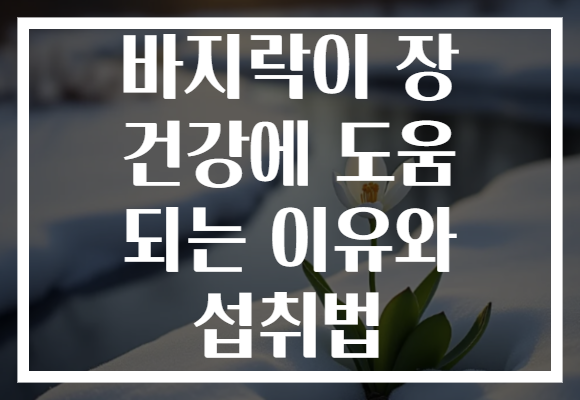 바지락이 장 건강에 도움 되는 이유와 섭취법