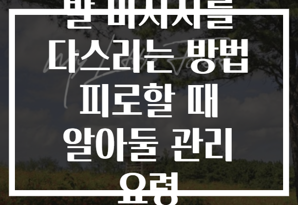 발 마사지를 다스리는 방법 피로할 때 알아둘 관리 요령