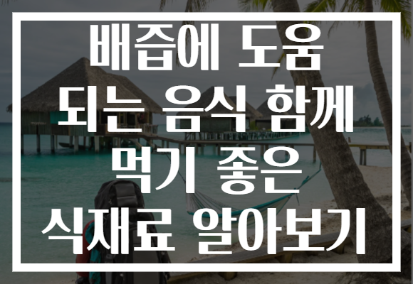배즙에 도움 되는 음식 함께 먹기 좋은 식재료 알아보기